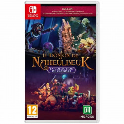 Videojuego para Switch Microids