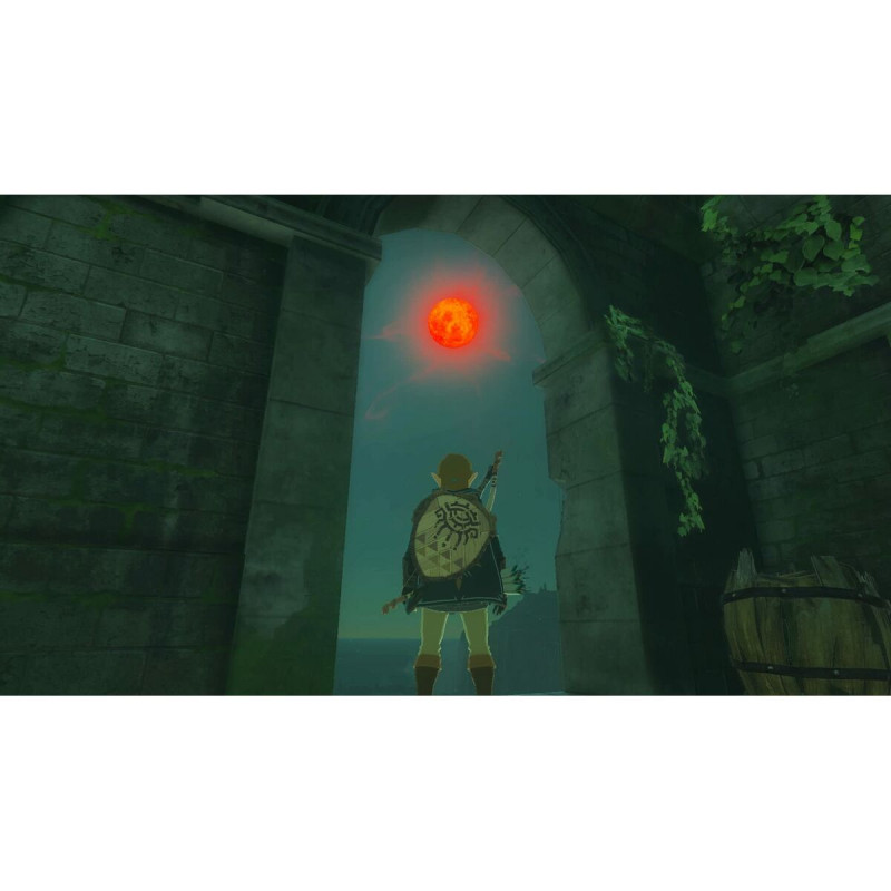 Videojuego para Switch Nintendo TLOZ TEA OFTKIN