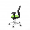 Silla Gaming Piqueras y Crespo 2D086G0 Pistacho